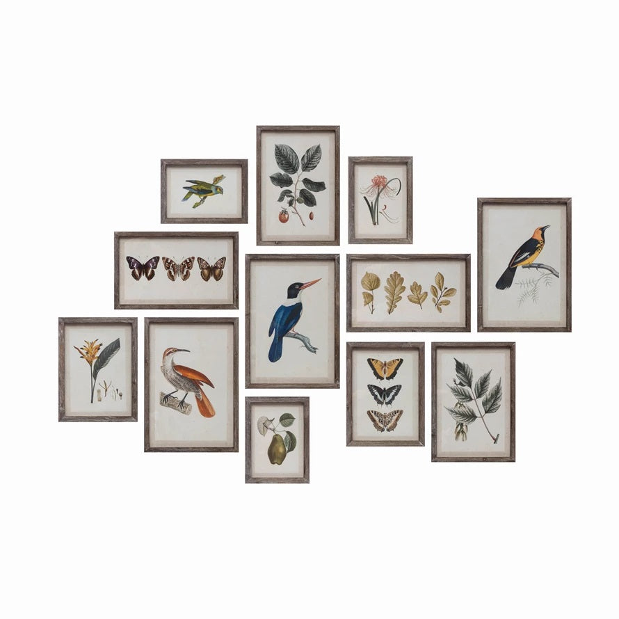 Animal and Floral Print Collection