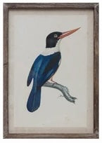 Blue and White Bird