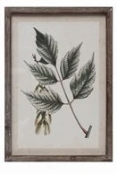 Green Leaves