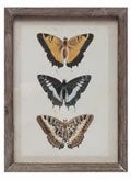 Vertical Butterflies Print