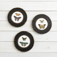 Wooden Hanging Plates -Assorted Butterflies, Set of Three