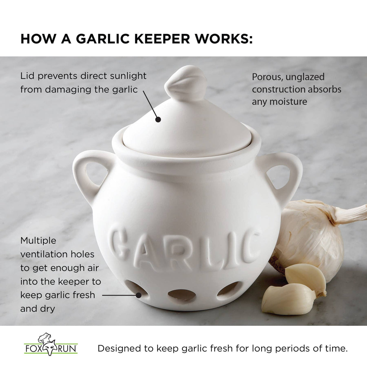 Fox Run Garlic Keeper, Terra Cotta