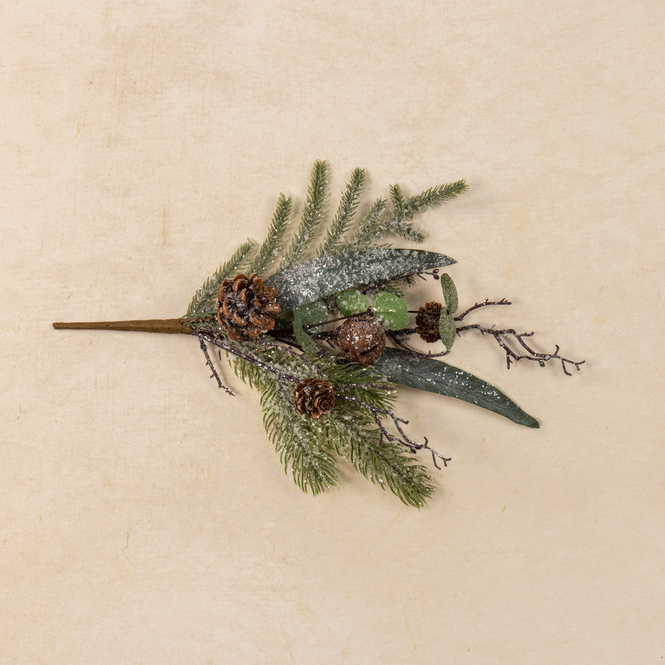 Decorative arrangement of greenery and pinecones on a beige background