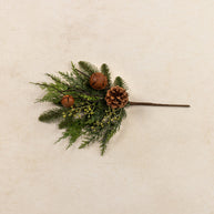 Decorative arrangement of greenery and pinecones on a beige background