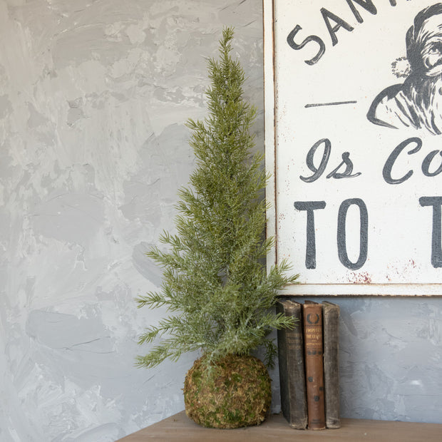 Small potted tree on a shelf with a framed picture of Santa Claus in the background.