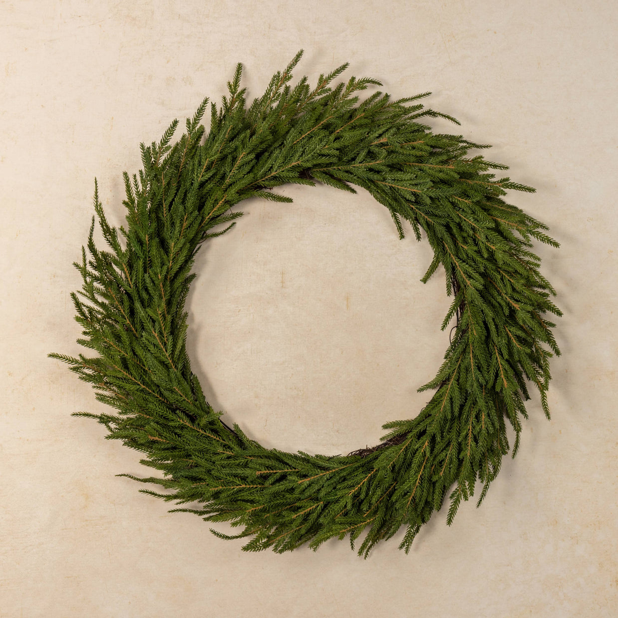 Green wreath on a beige background