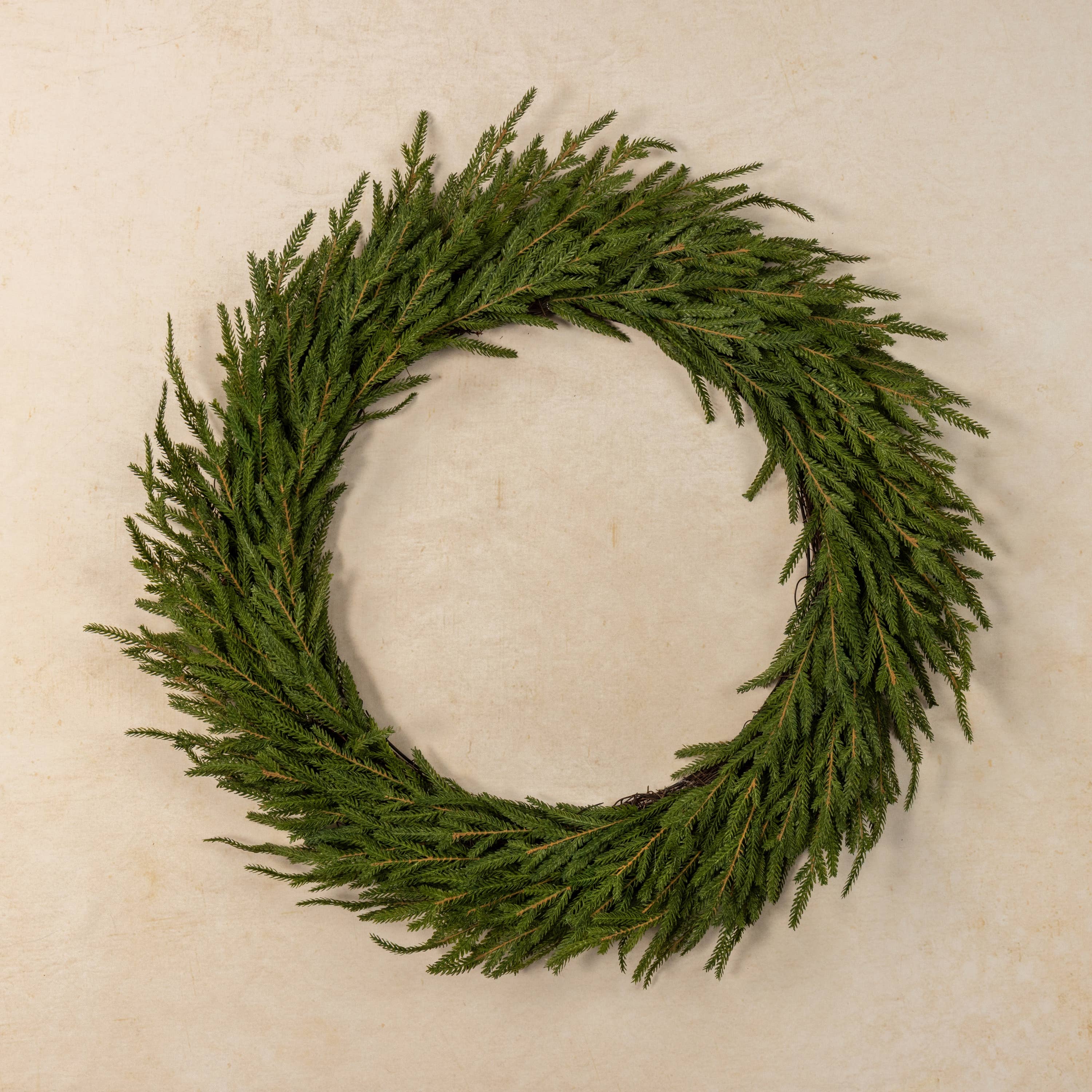 Green wreath on a beige background