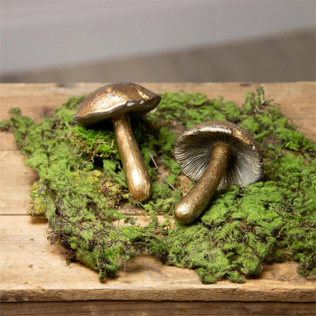Two metallic mushrooms on a bed of green moss with a wooden surface background.