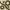 Set of green wreaths and branches on a textured beige background