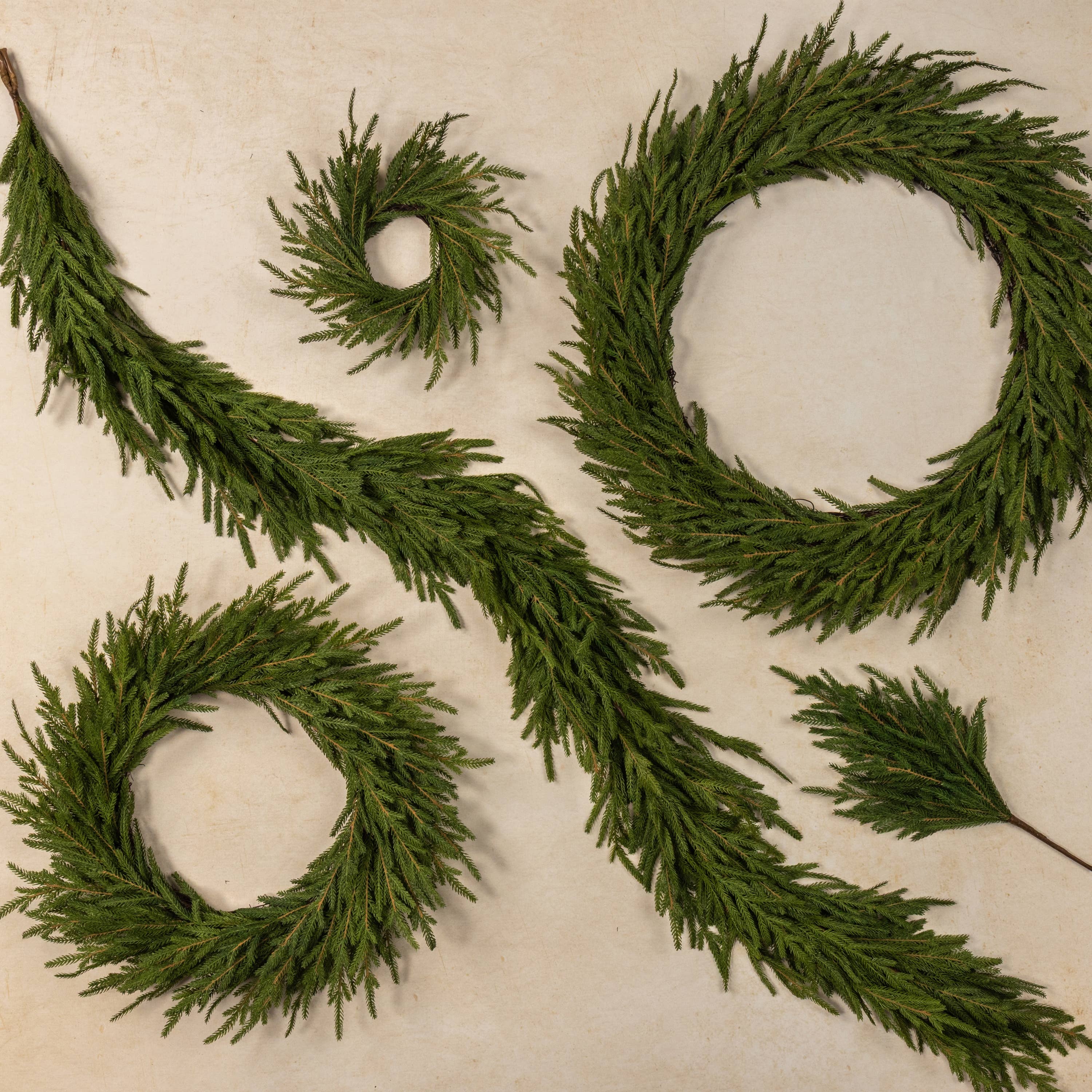 Set of green wreaths and branches on a textured beige background