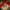 Bingo-themed ornament on a wrapped gift with a red ribbon