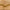6' Gold Queen Anne Lace Garland