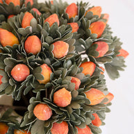 Decorative wreath with orange berries on a white background