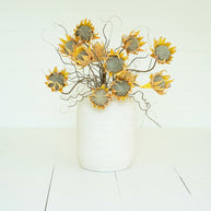 Botanica #2688