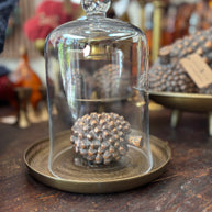 Cloche