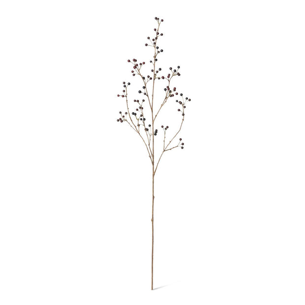 Late Season Blueberry Branch