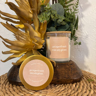 Grapefruit and Eucalyptus Scent Collection