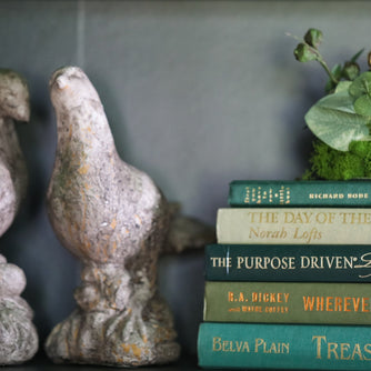 Green Curated Books, Set of Five