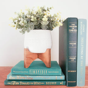 Green Curated Books, Set of Five