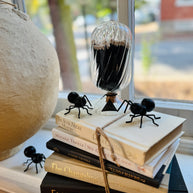 Cast Iron Ants, Set of Three