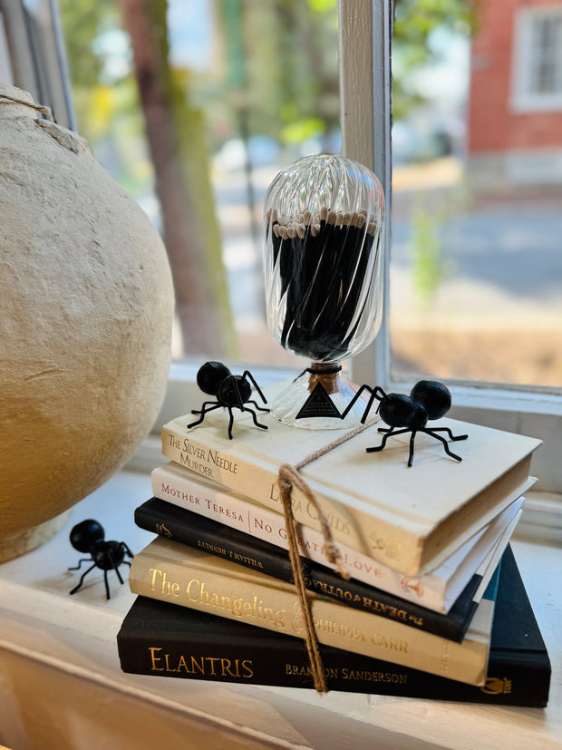 Cast Iron Ants, Set of Three