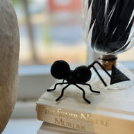 Cast Iron Ants, Set of Three