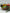 Assorted Fruit Ornaments, 12 Styles