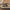 Iron Field Mice - Set of 2