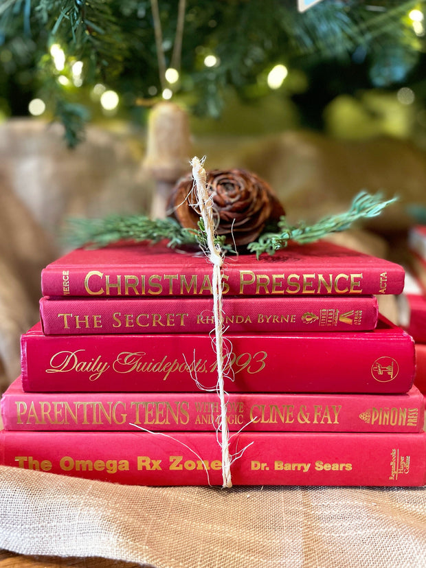 Red Curated Books, Set of Five