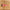 Red and white 'Ski Patrol' pennant on a wooden background