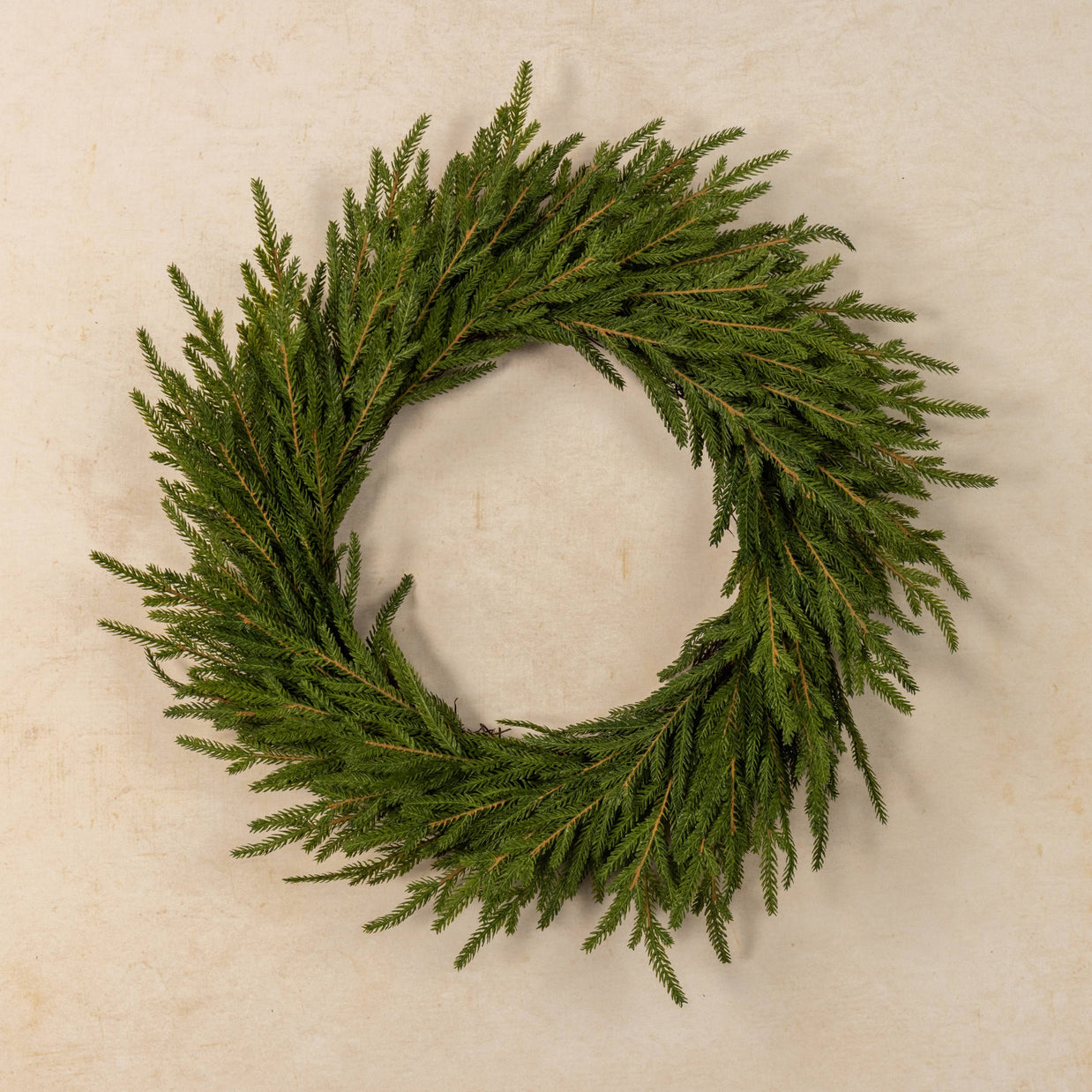 Green wreath on a beige background