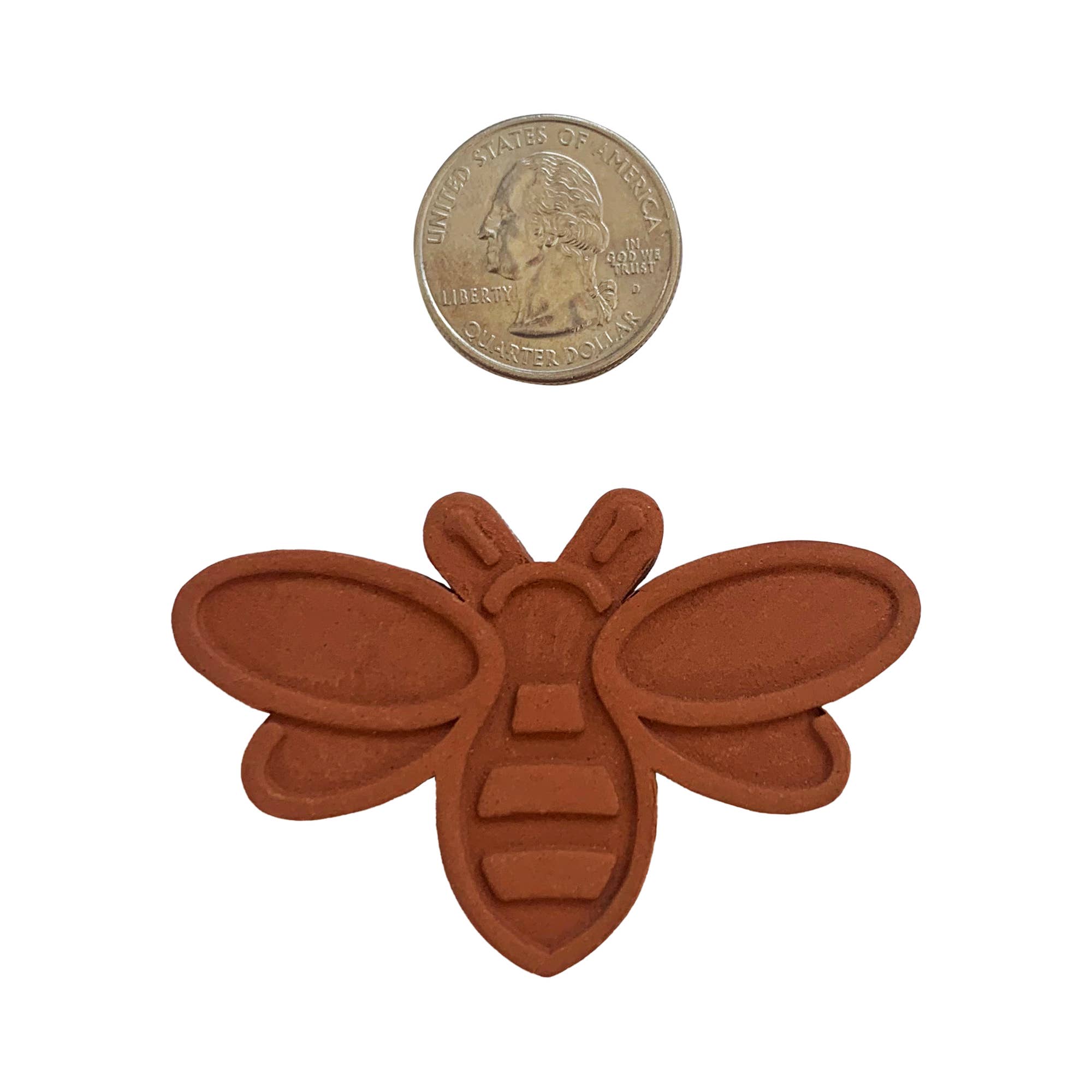 Brown bee-shaped object next to a coin on a white background