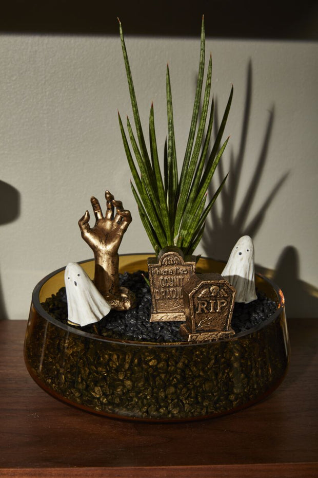 Boneyard Figurines in plant pot