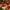 Gift wrapped in brown paper with a red ribbon, surrounded by greenery and a small red golf cart ornament.