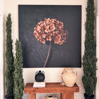 Faux Italian Cypress Tree 5'