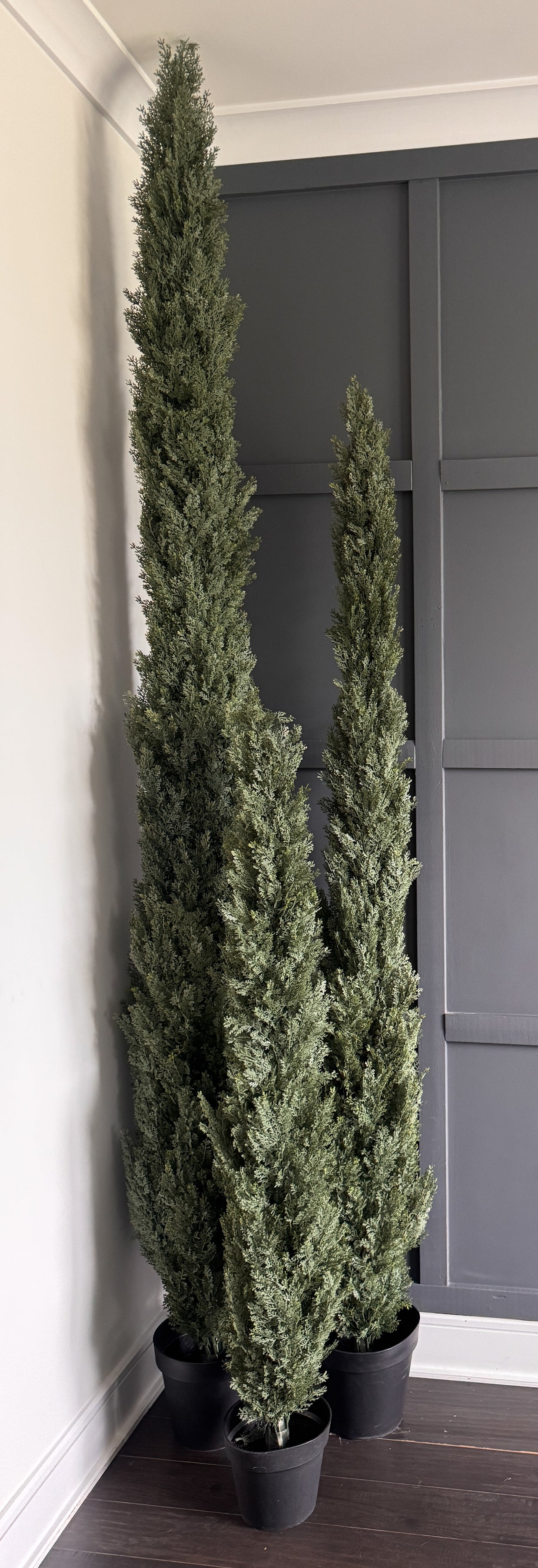 Faux Italian Cypress Tree  7'