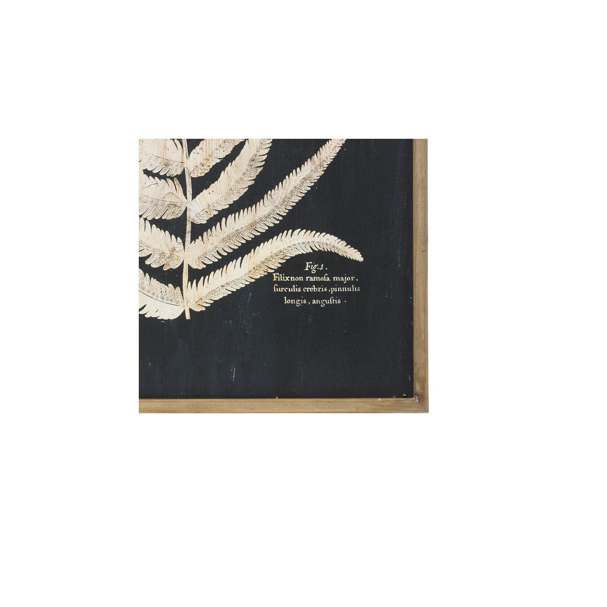 Black and Tan Leaf Wall Art, 2 Styles