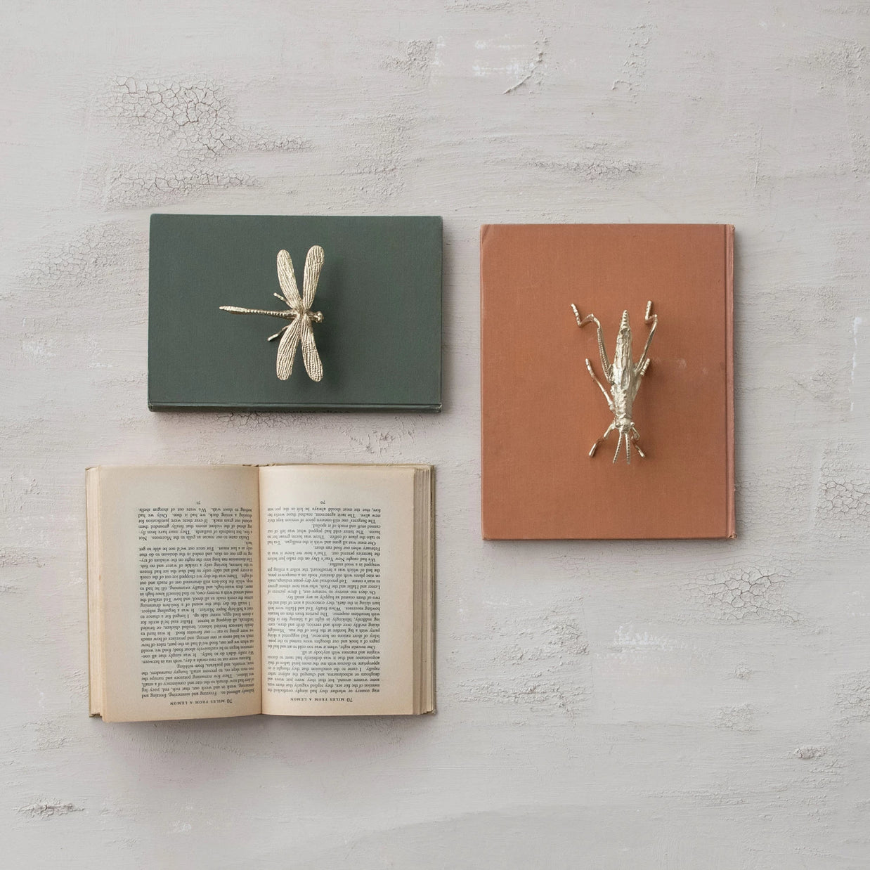 Decorative wall hooks shaped like a dragonfly and a lobster on books against a textured light gray background.