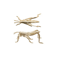 Two gold insect-shaped earrings on a white background