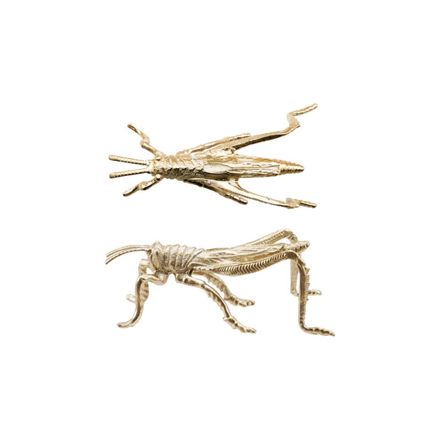Two gold insect-shaped earrings on a white background