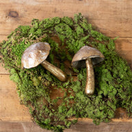 Decorative mushrooms on a bed of green moss against a wooden background