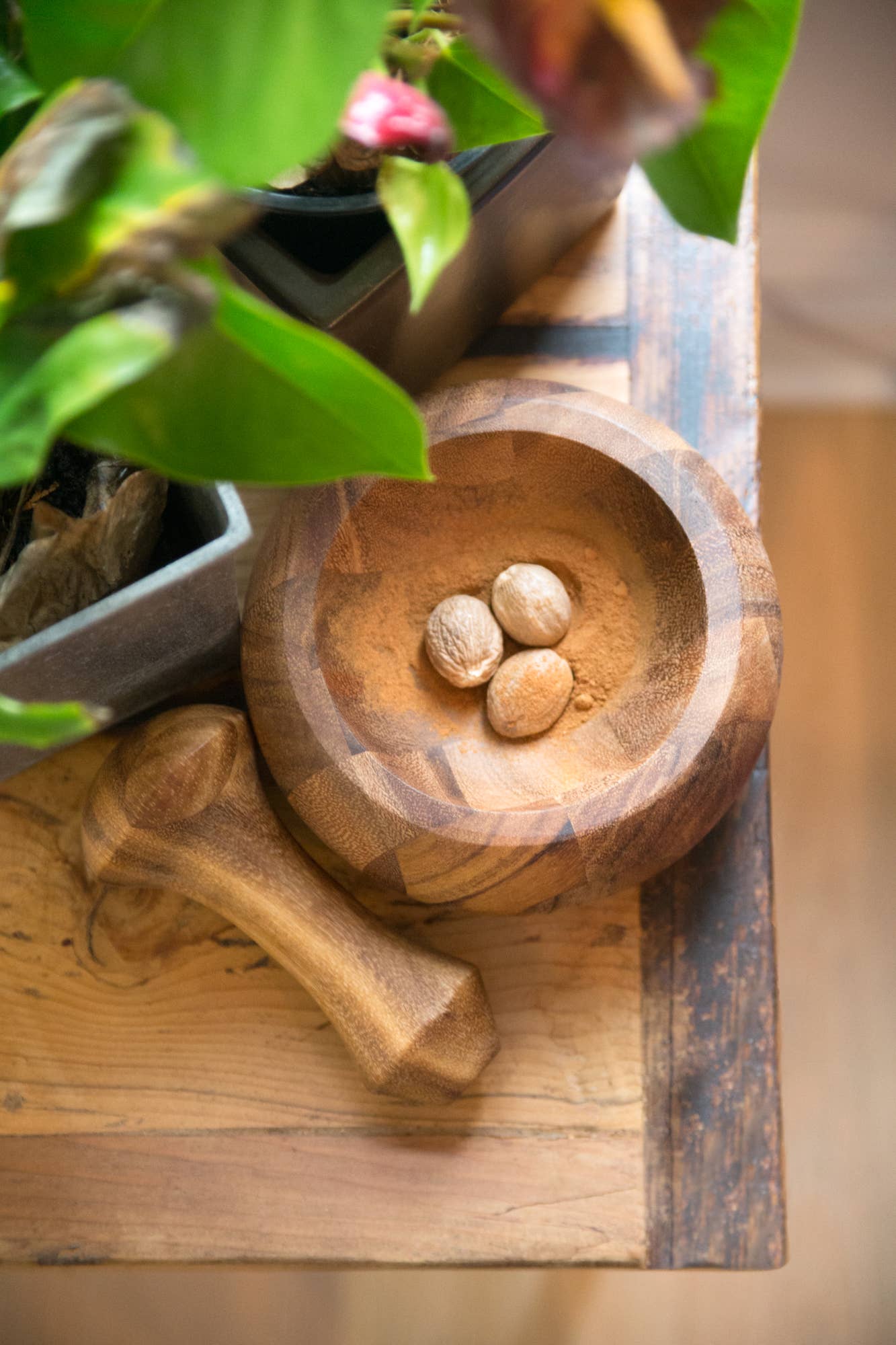 Wooden bowl with stones on a wooden surface with plants in the background