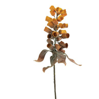 Botanica #2775
