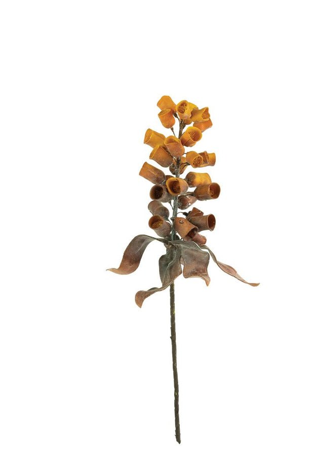 Botanica #2775