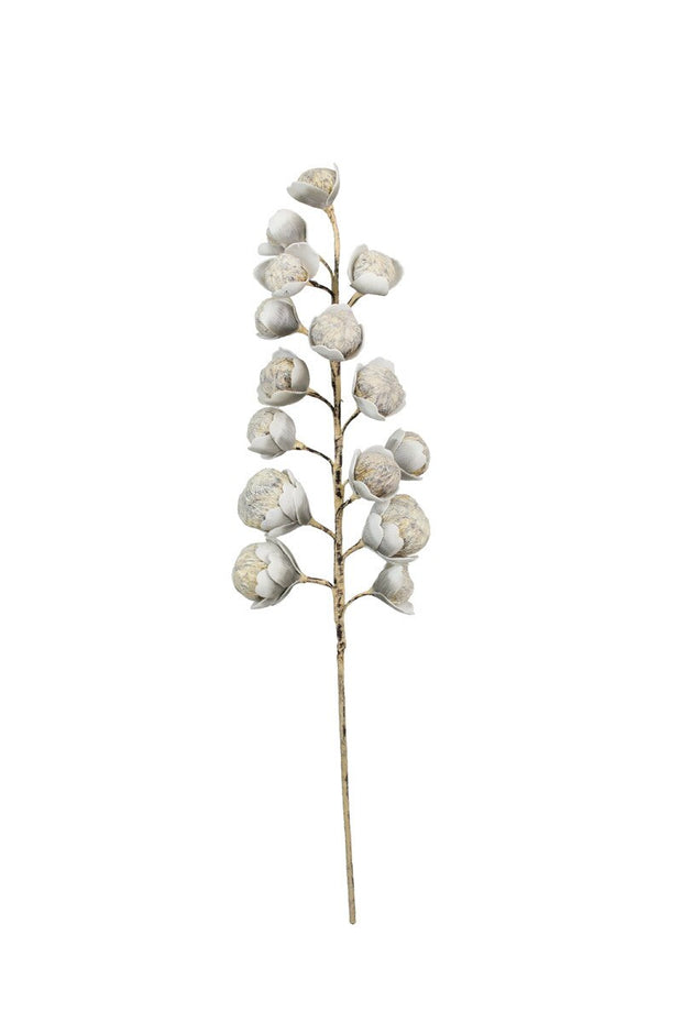 Botanica #2297
