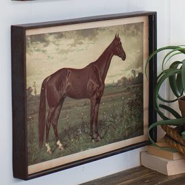Print of a Horse