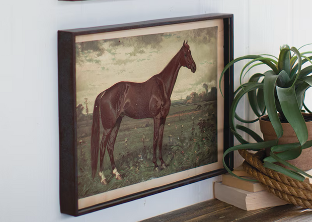 Print of a Horse