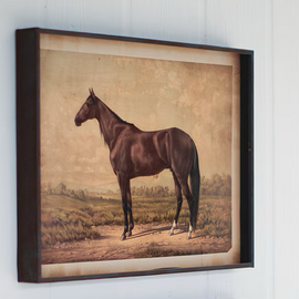 Print of a Horse. 
