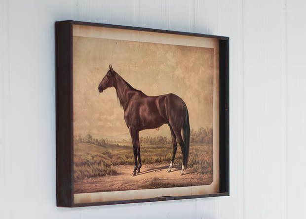 Print of a Horse. 