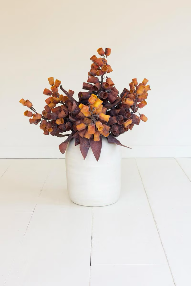 Botanica #2775